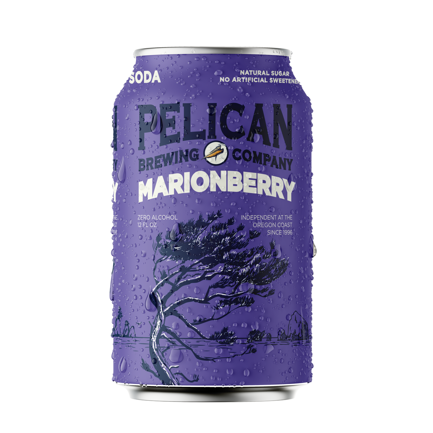Marionberry (4 Pack)